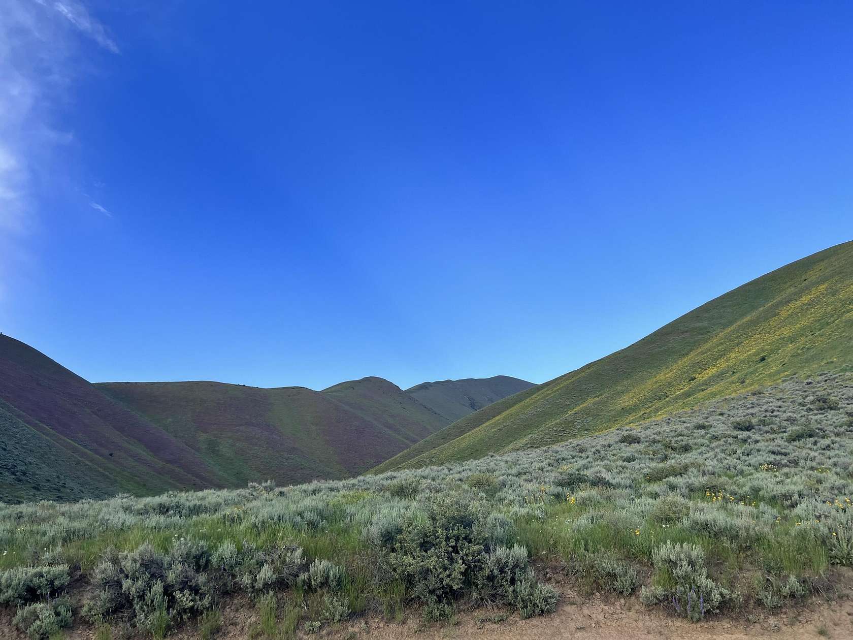 80 Acres of Land for Sale in Broadford, Idaho