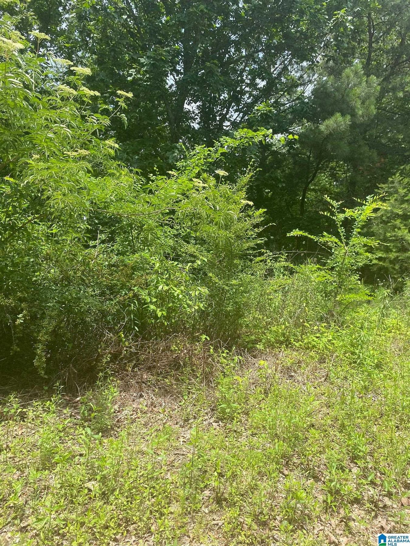 0.4 Acres of Residential Land for Sale in Odenville, Alabama