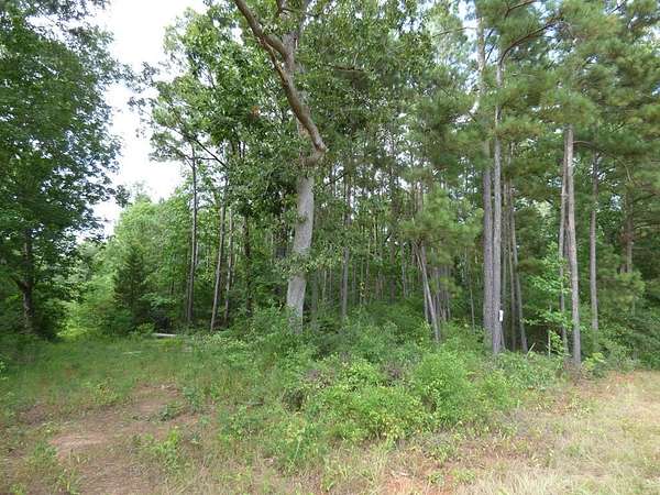 12.4 Acres of Land for Sale in Nacogdoches, Texas