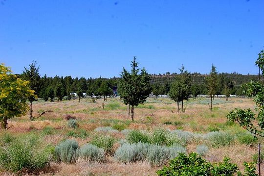 2.5 Acres of Mixed-Use Land for Sale in Prineville, Oregon