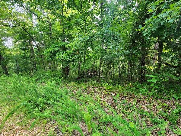 0.66 Acres of Residential Land for Sale in Bella Vista, Arkansas
