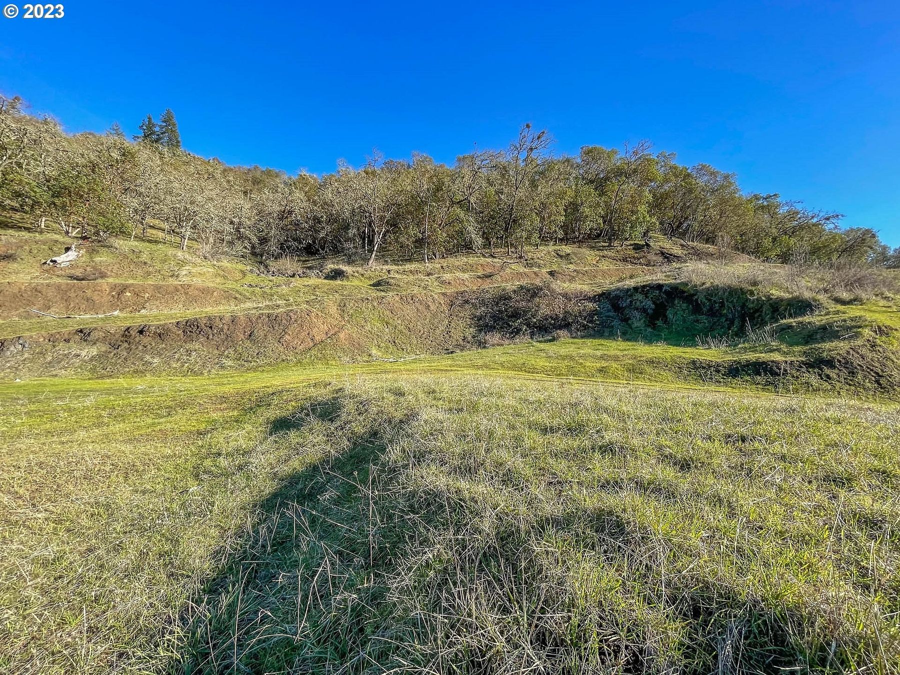 0.5 Acres of Residential Land for Sale in Winchester, Oregon