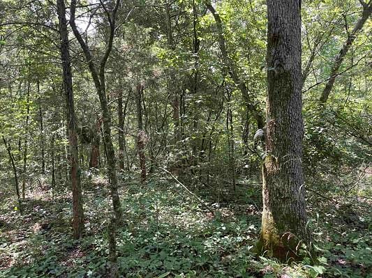 70 Acres of Recreational Land & Farm for Sale in Mammoth Spring, Arkansas