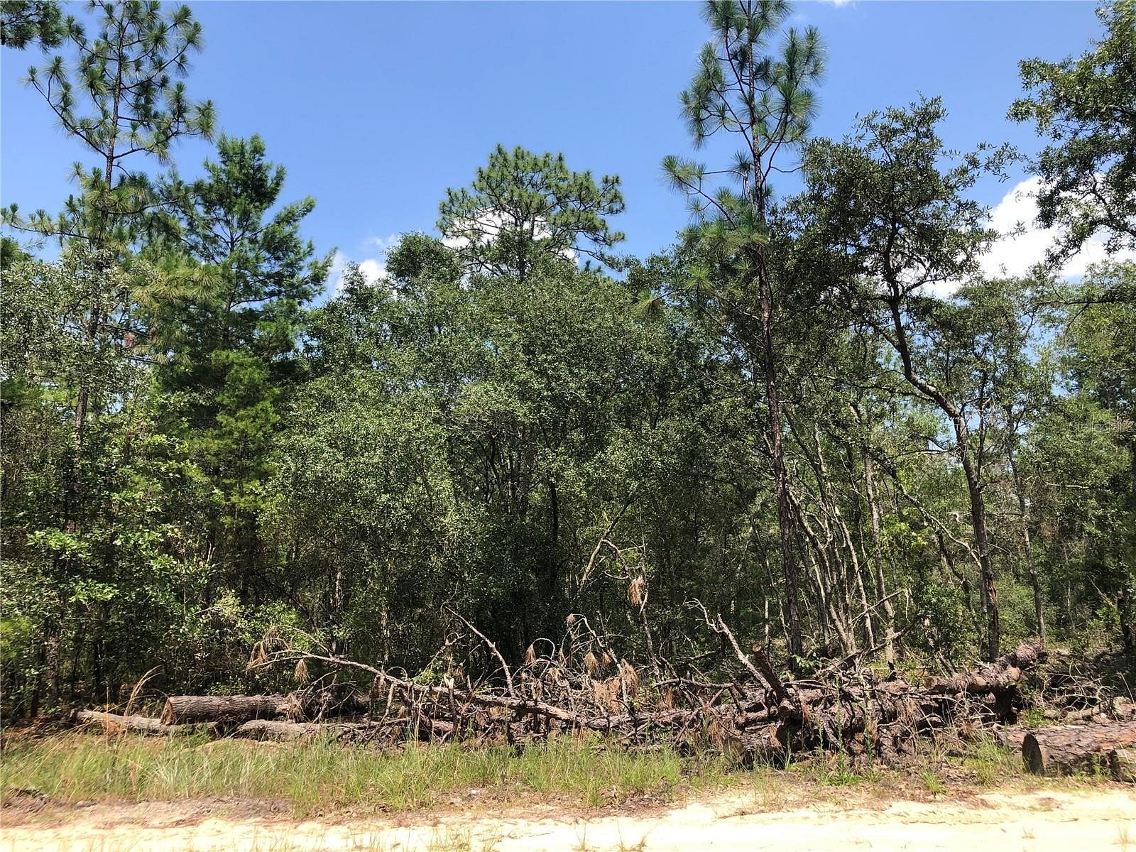 0.23 Acres of Residential Land for Sale in Satsuma, Florida