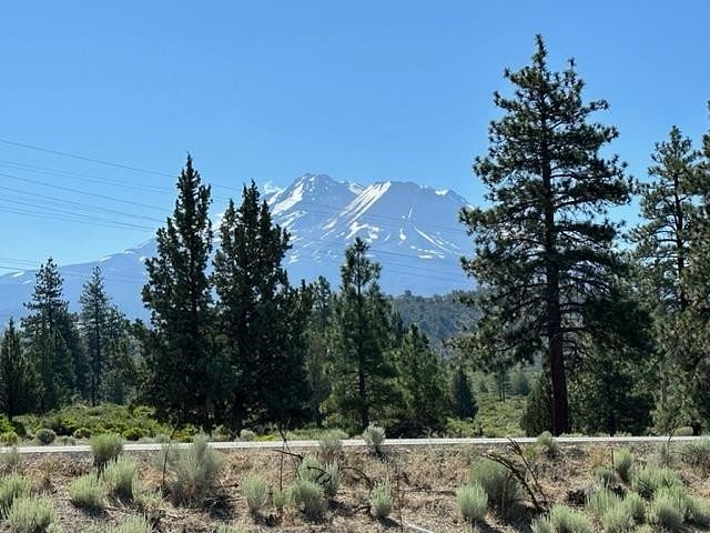 10 Acres of Land for Sale in Weed, California