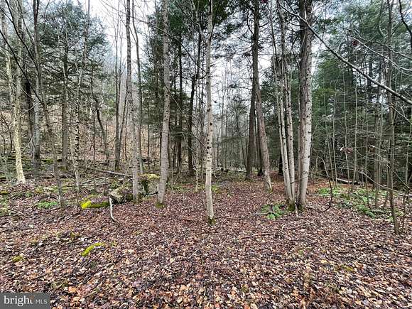 64 Acres of Land for Sale in Albright, West Virginia