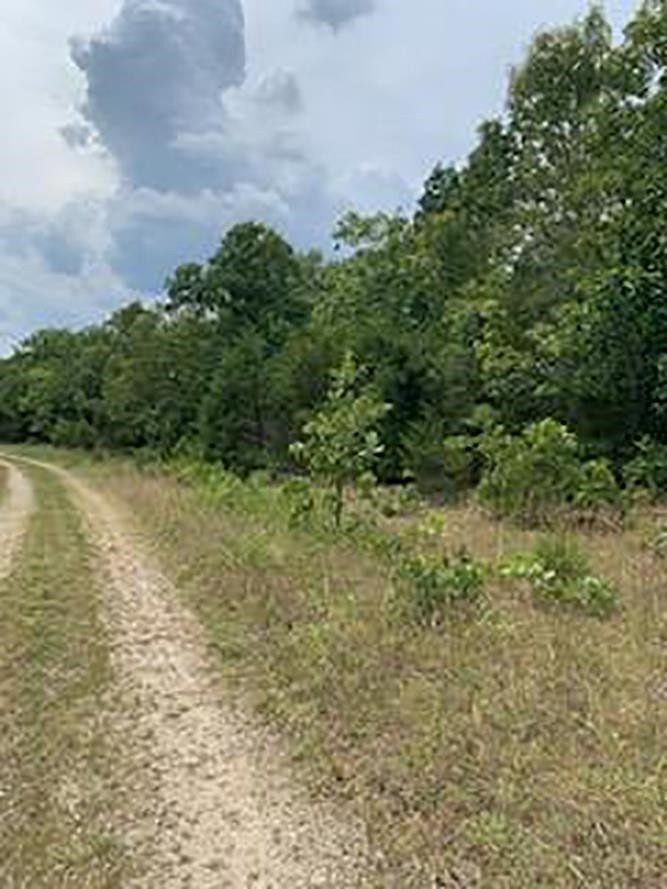 3.1 Acres of Land for Sale in Evening Shade, Arkansas