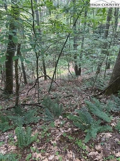 0.93 Acres of Residential Land for Sale in Crumpler, North Carolina