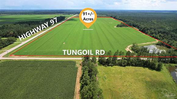 91.2 Acres of Agricultural Land for Sale in Walnut Hill, Florida
