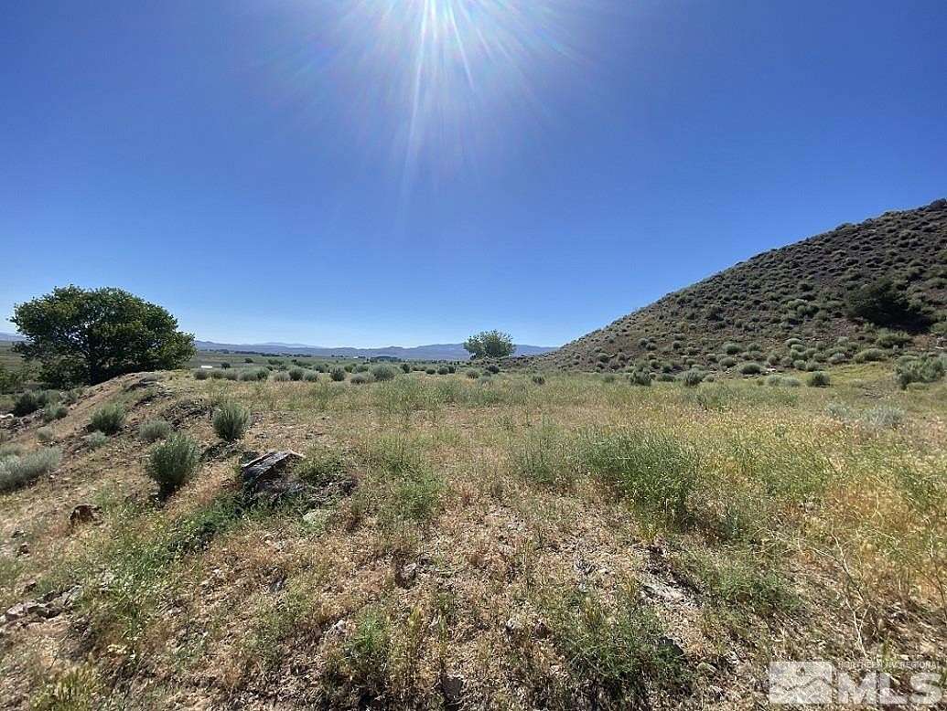 45.1 Acres of Recreational & Residential Land for Sale in Wellington, Nevada