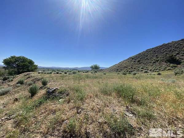 45.1 Acres of Recreational & Residential Land for Sale in Wellington, Nevada