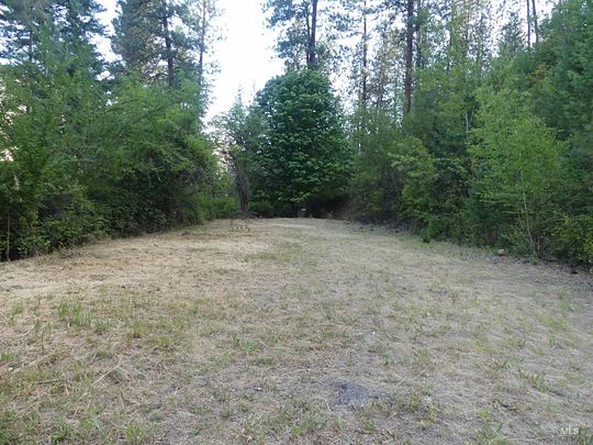 17.6 Acres of Recreational Land for Sale in Juliaetta, Idaho