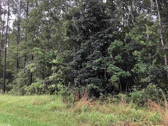1 Acre of Residential Land for Sale in Elberta, Alabama