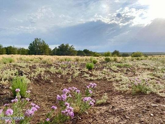 48.9 Acres of Land for Sale in Show Low, Arizona