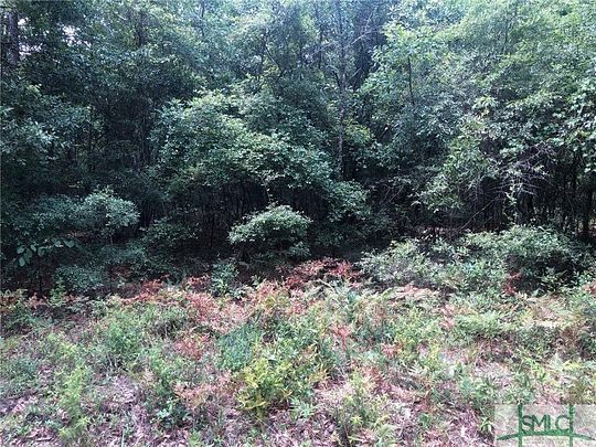 5 Acres of Residential Land for Sale in Clyo, Georgia