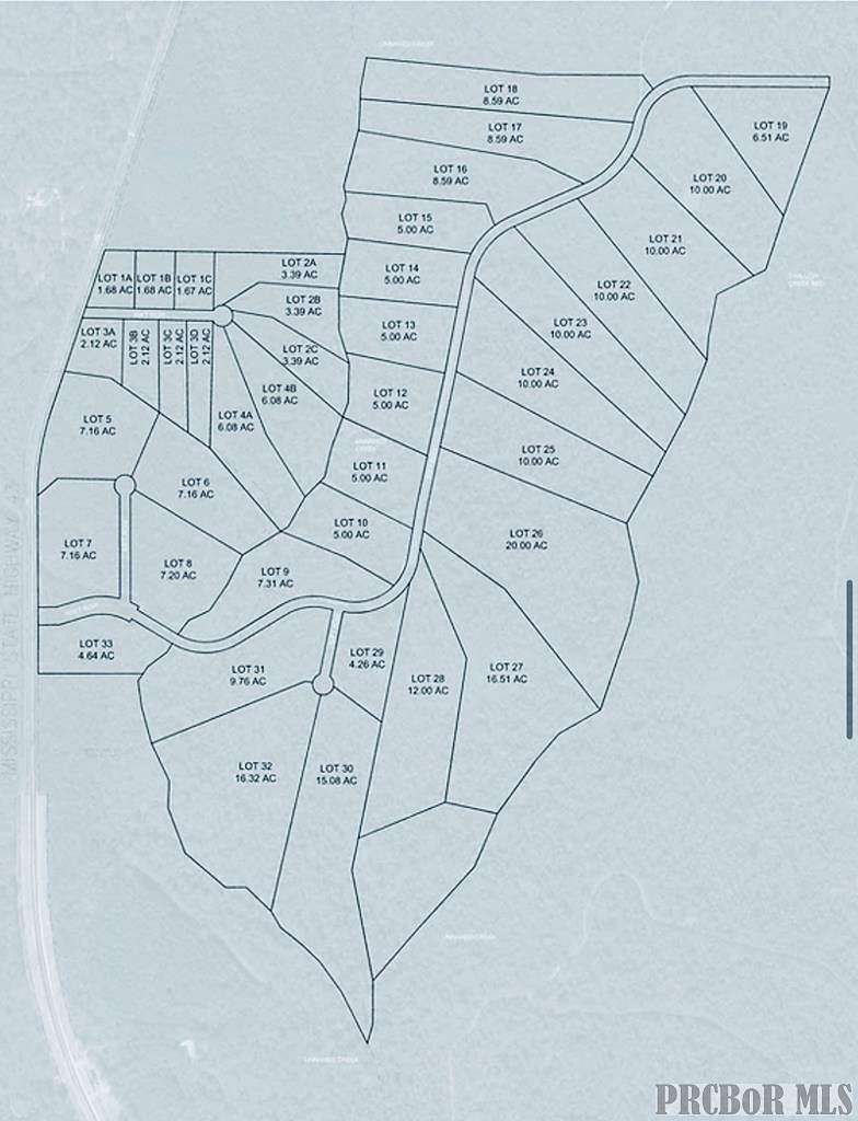 8.59 Acres of Residential Land for Sale in Picayune, Mississippi