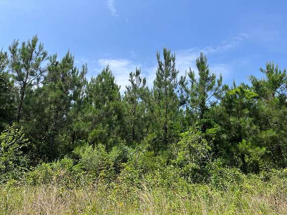 23.1 Acres of Land for Sale in Huttig, Arkansas