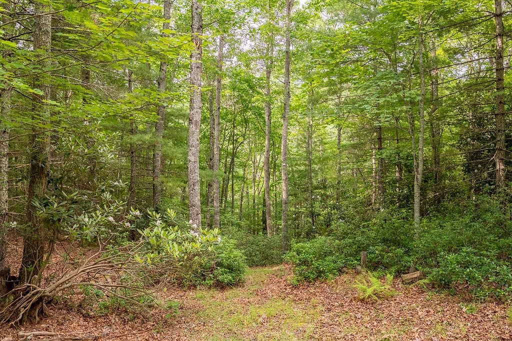 3.4 Acres of Residential Land for Sale in Bland, Virginia