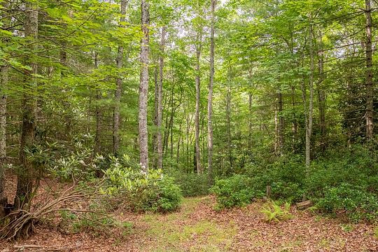 3.4 Acres of Residential Land for Sale in Bland, Virginia