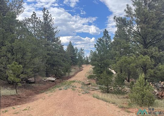 227 Acres of Recreational Land for Sale in Mora, New Mexico