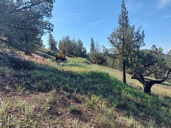 10.6 Acres of Land for Sale in Alturas, California