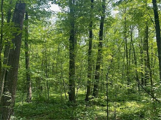 40 Acres of Land for Sale in Brook Park, Minnesota