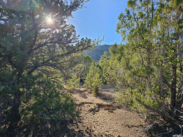 10 Acres of Land for Sale in Fruitland, Utah