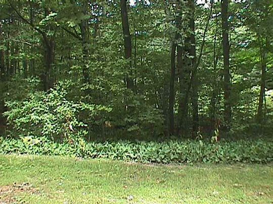 0.33 Acres of Land for Sale in Whitehall, Michigan