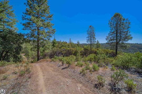 19.7 Acres of Recreational Land for Sale in Big Oak Flat, California