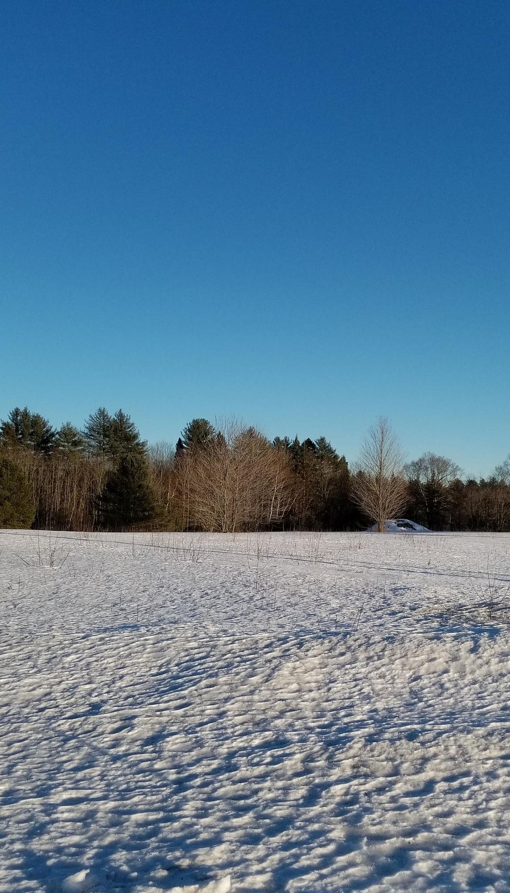 5 Acres of Residential Land for Sale in Madison, Maine
