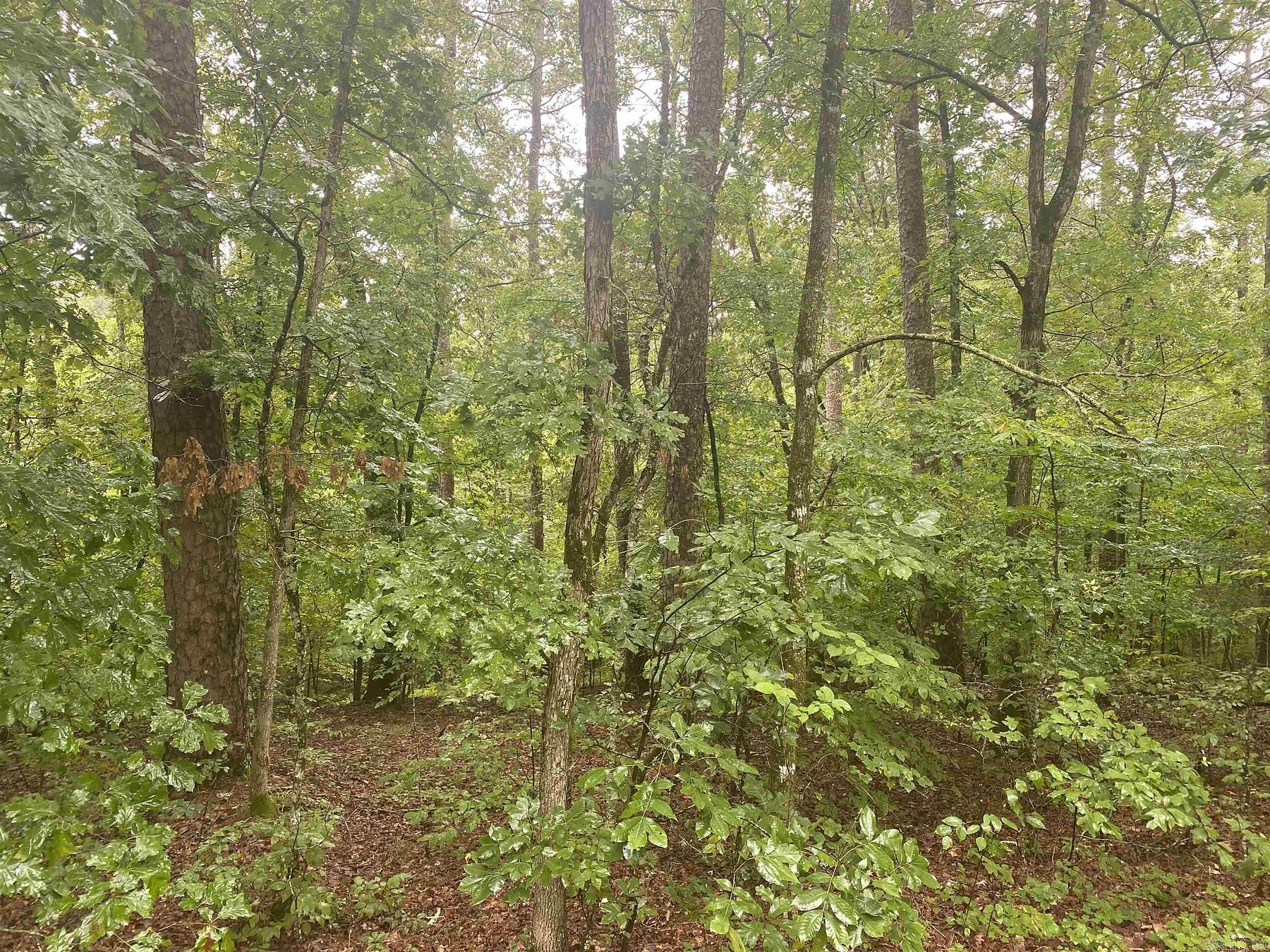 0.25 Acres of Residential Land for Sale in Hot Springs Village, Arkansas