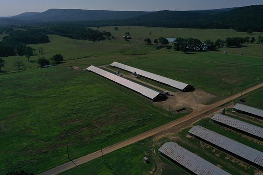 380 Acres of Agricultural Land with Home for Sale in Havana, Arkansas