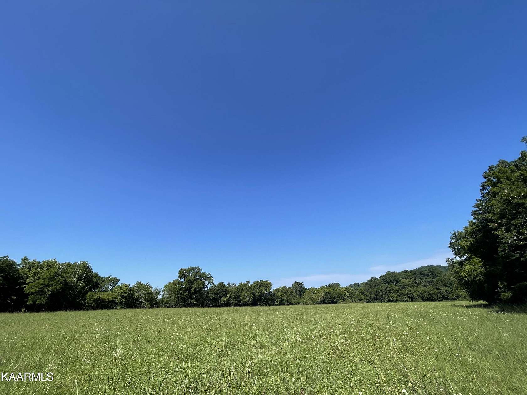 12.02 Acres of Land for Sale in Rockford, Tennessee