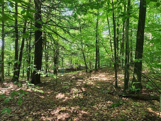 5 Acres of Residential Land for Sale in Constantia, New York
