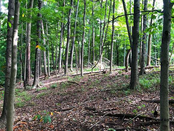 33 Acres of Recreational Land for Sale in Patriot, Ohio