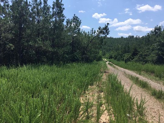 127 Acres of Recreational Land for Sale in Booneville, Arkansas
