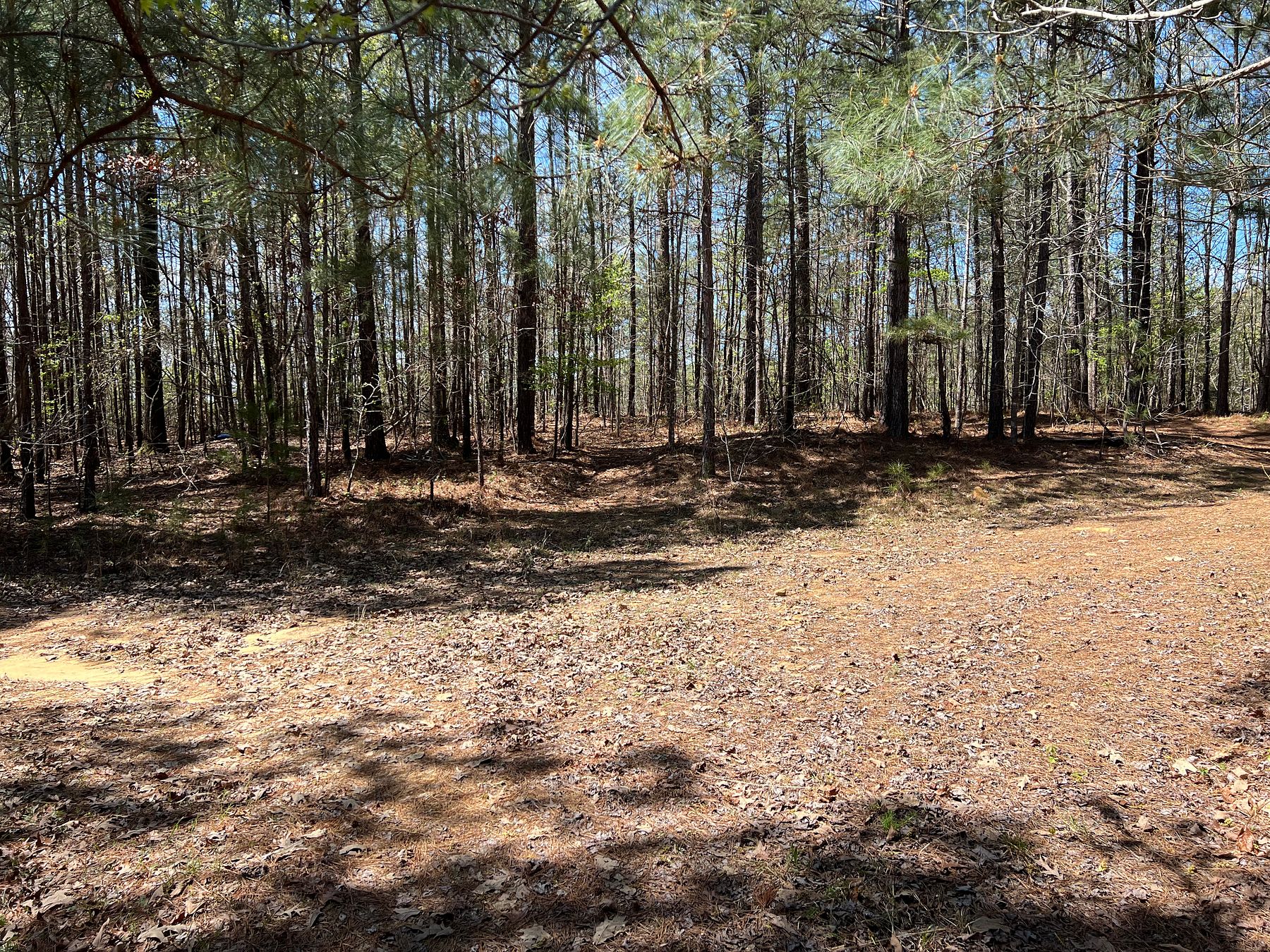 1.5 Acres of Residential Land for Sale in Woodstock, Alabama