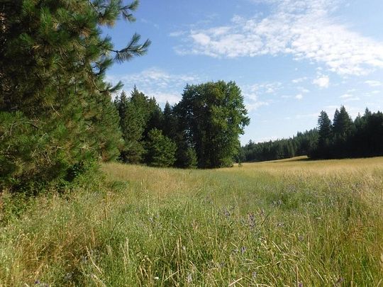 19.7 Acres of Land for Sale in Loon Lake, Washington