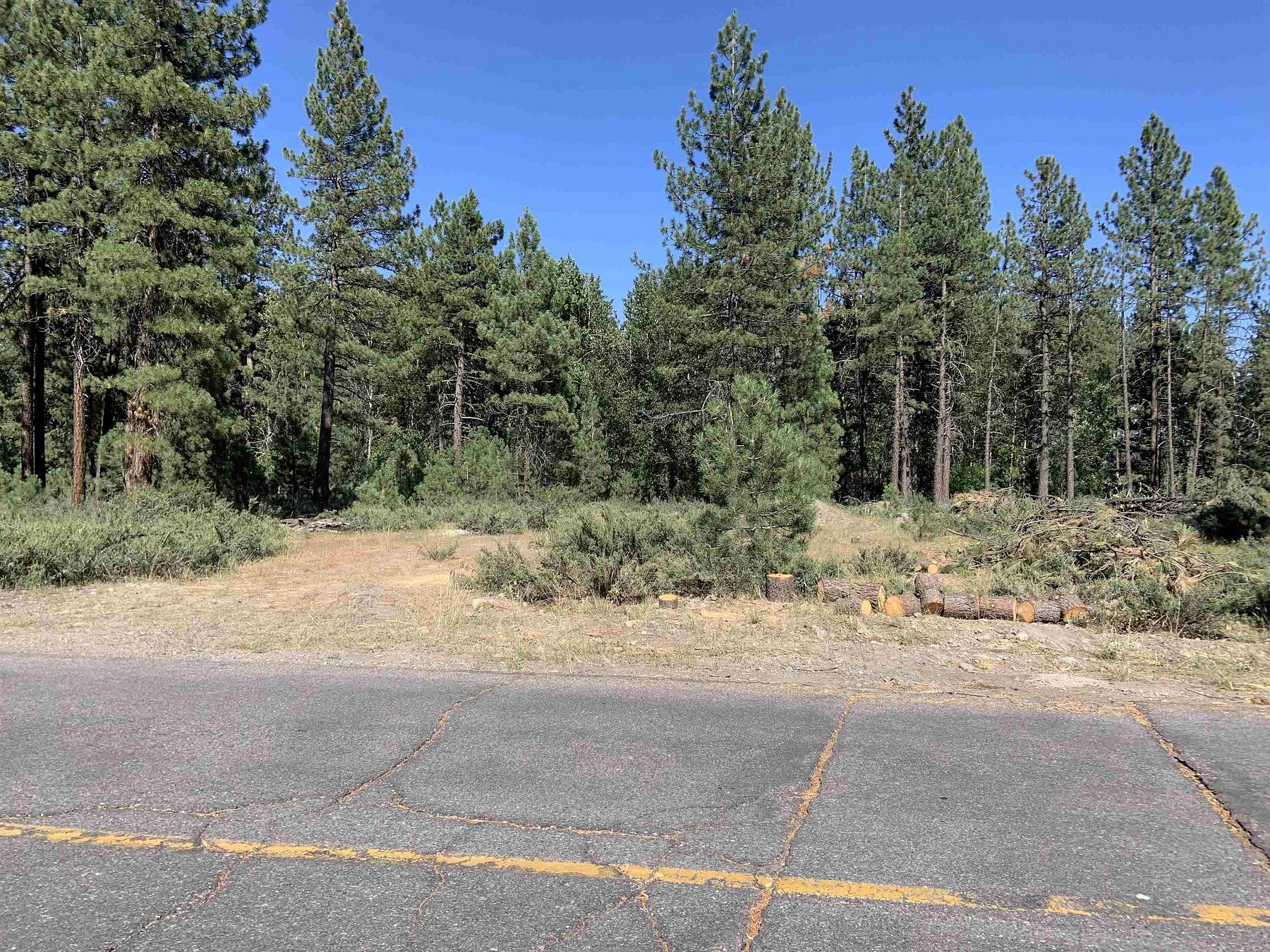 0.31 Acres of Residential Land for Sale in Chester, California