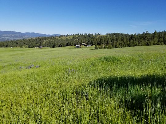 20 Acres of Agricultural Land for Sale in Republic, Washington