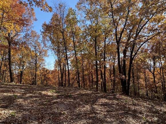 34.8 Acres of Land for Sale in Western Grove, Arkansas