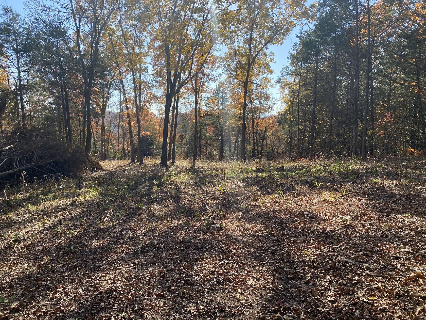 67.9 Acres of Land for Sale in Western Grove, Arkansas