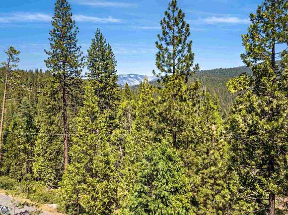 0.47 Acres of Residential Land for Sale in Cold Springs, California