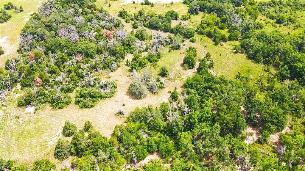 52.2 Acres of Recreational Land & Farm for Sale in Fairfield, Texas