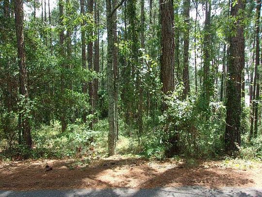 0.66 Acres of Residential Land for Sale in Douglas, Georgia