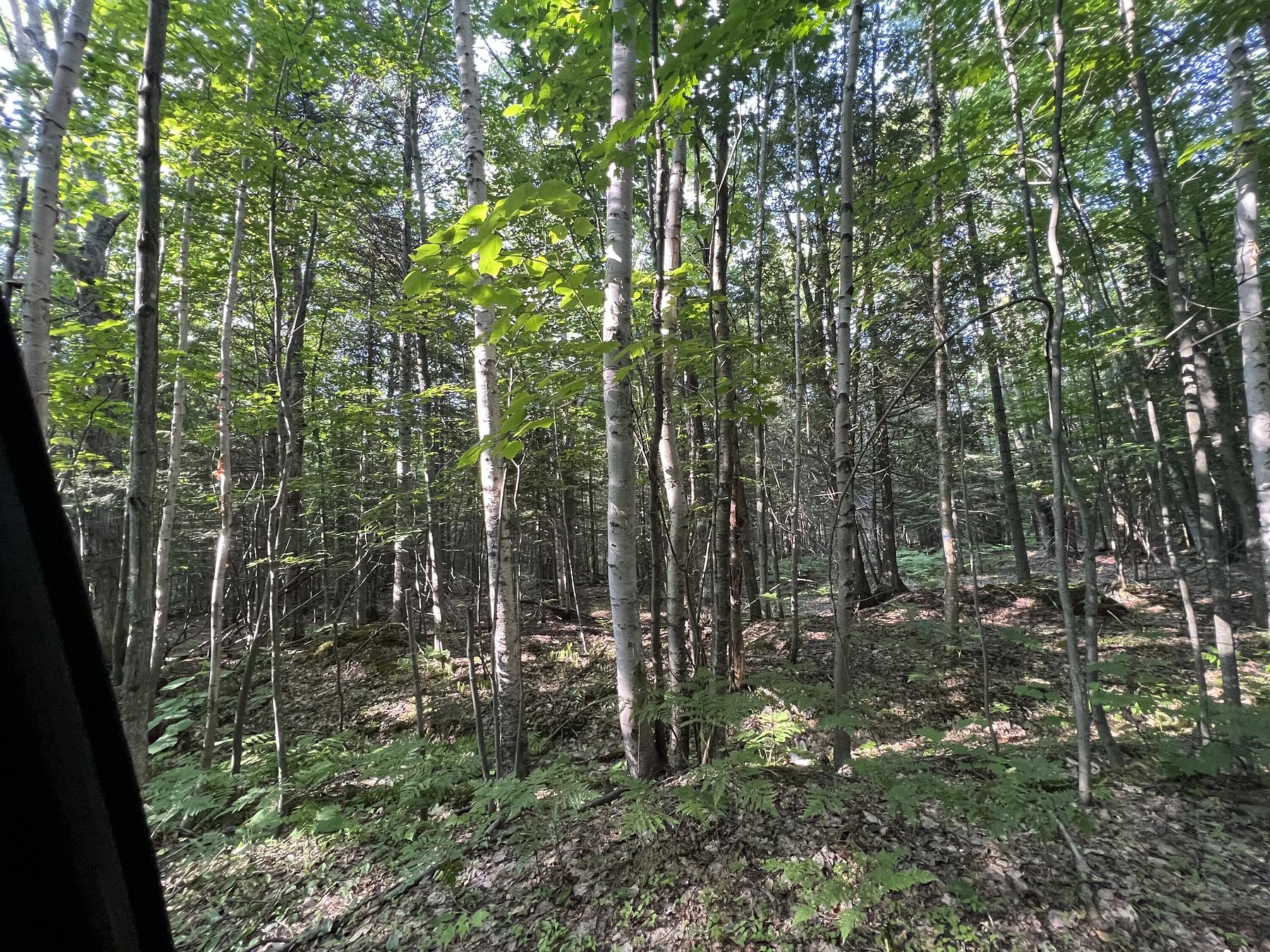 0.38 Acres of Residential Land for Sale in Grand Marais, Michigan