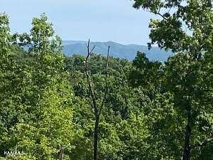 50 Acres of Land for Sale in Maryville, Tennessee