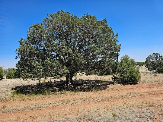 36.9 Acres of Recreational Land for Sale in Seligman, Arizona