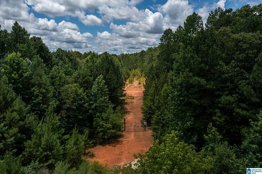 38 Acres of Land for Sale in Chelsea, Alabama