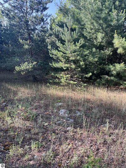 2.5 Acres of Residential Land for Sale in Interlochen, Michigan